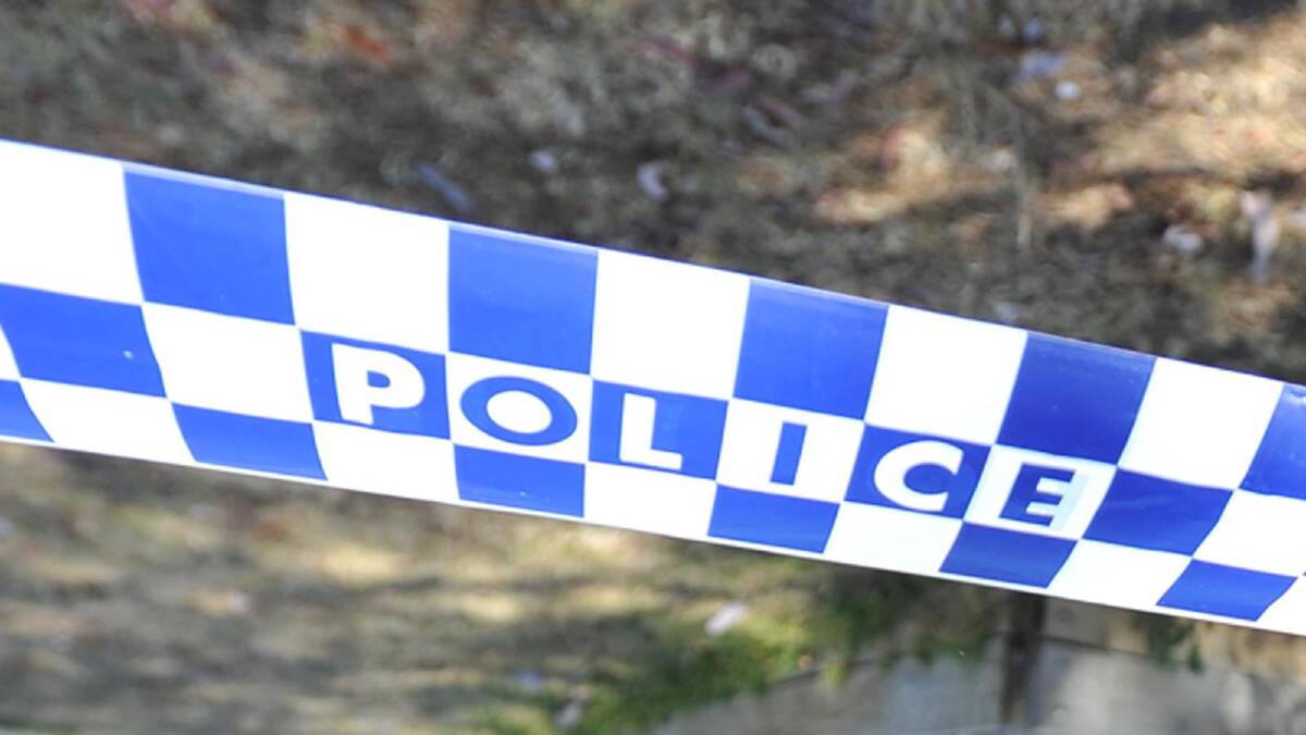Police confirm male driver dead after ute crashes into tree