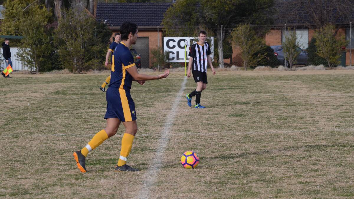 GIVING INSTRUCTIONS: Yoogali SC's Ruben Pestana was controlling in the midfield for his side during their game against Wests. PHOTO: Liam Warren