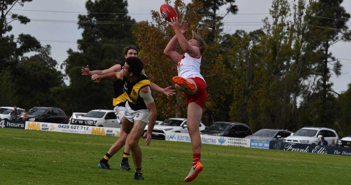SPECKY: Swans' Jack Powell comes down with the ball after getting high to claim the mark against Wagga Tigers. PHOTO: Liam Warren