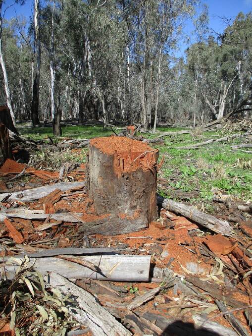 WATCH OUT: Surviellence operation in the Murrumbidgee Valley area has identified people stealing firewood. PHOTO: Contributed