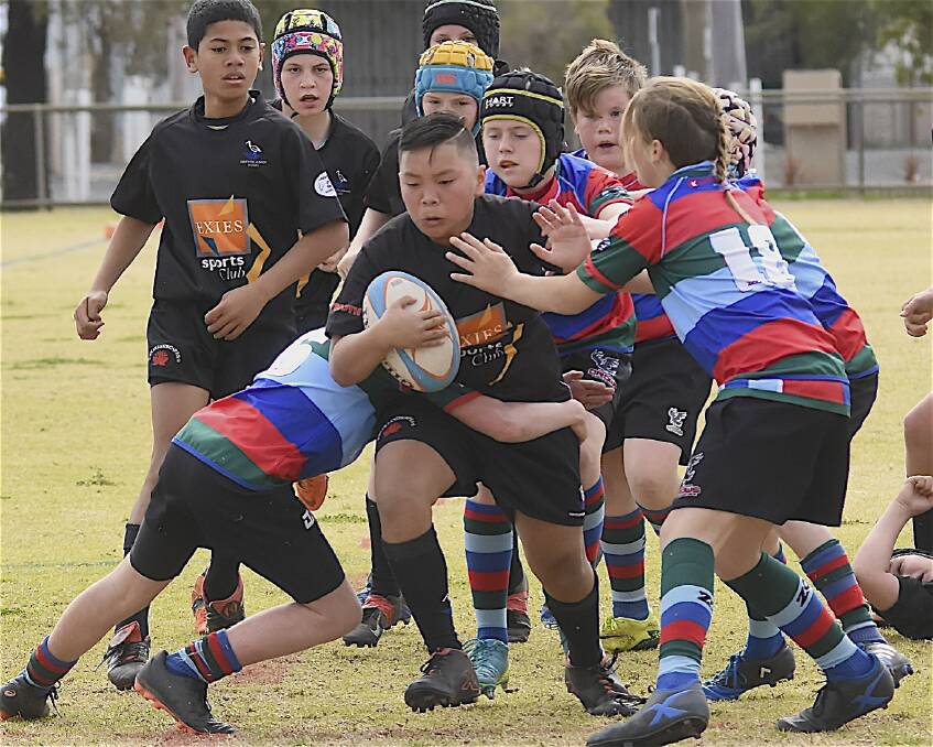 CHARGE: Under 12 front rower Tevita Robertson makes another bruising run during the Blacks Southern Inland Junior Rugby season. PHOTO: Steven Parisotto Photography 