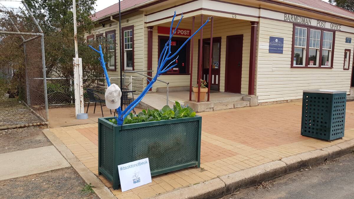 Owners of the Barmedman General Store and Post Office, Steve Raine and Linda Muirhead did their own interpretation of The Blue Tree Project outside their store. Photo supplied. 