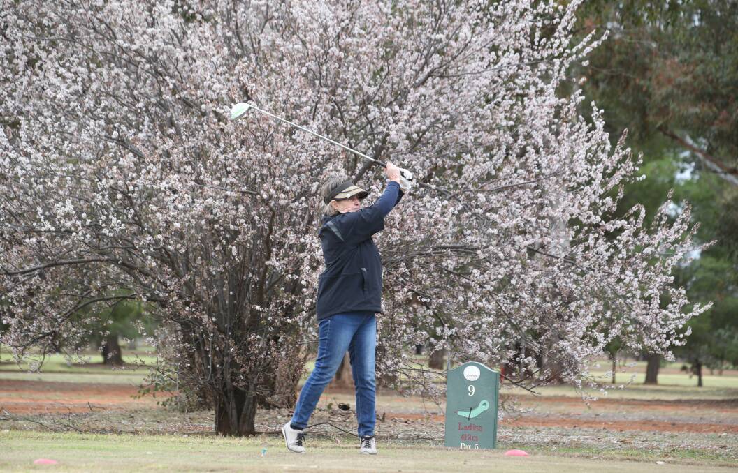 SPRING TIME: Enjoying the start of spring weather is Lyn Hedditch at Griffith Golf Club. Picture: Anthony Stipo
