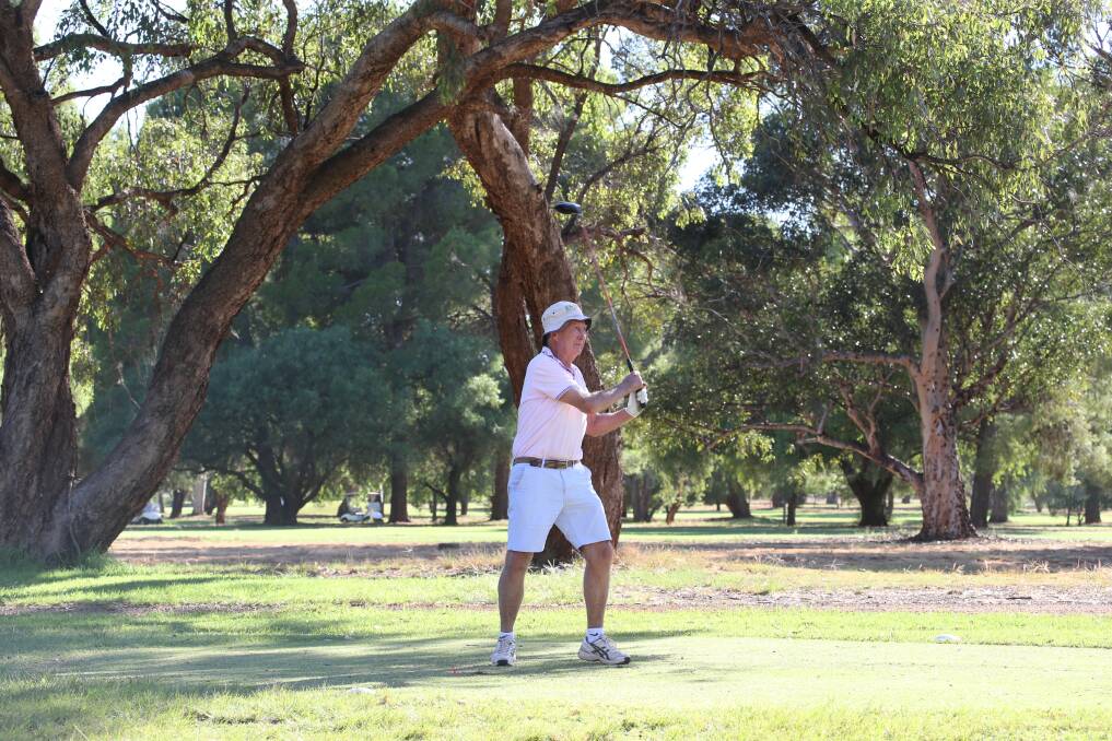 SUMMER SPORTS: Michael Carnel plays a round of golf at the Griffith Golf Club on Saturday. Picture: Anthony Stipo
