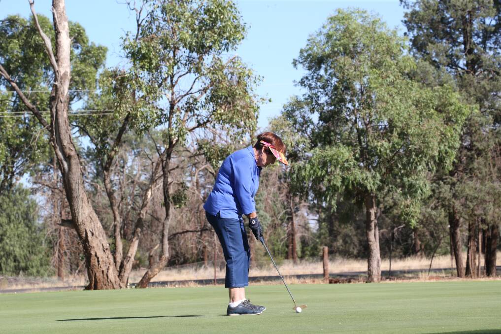 PICTURE OF FOCUS: Dulcie Knight lines up her shot at the weekend. Picture: Anthony Stipo