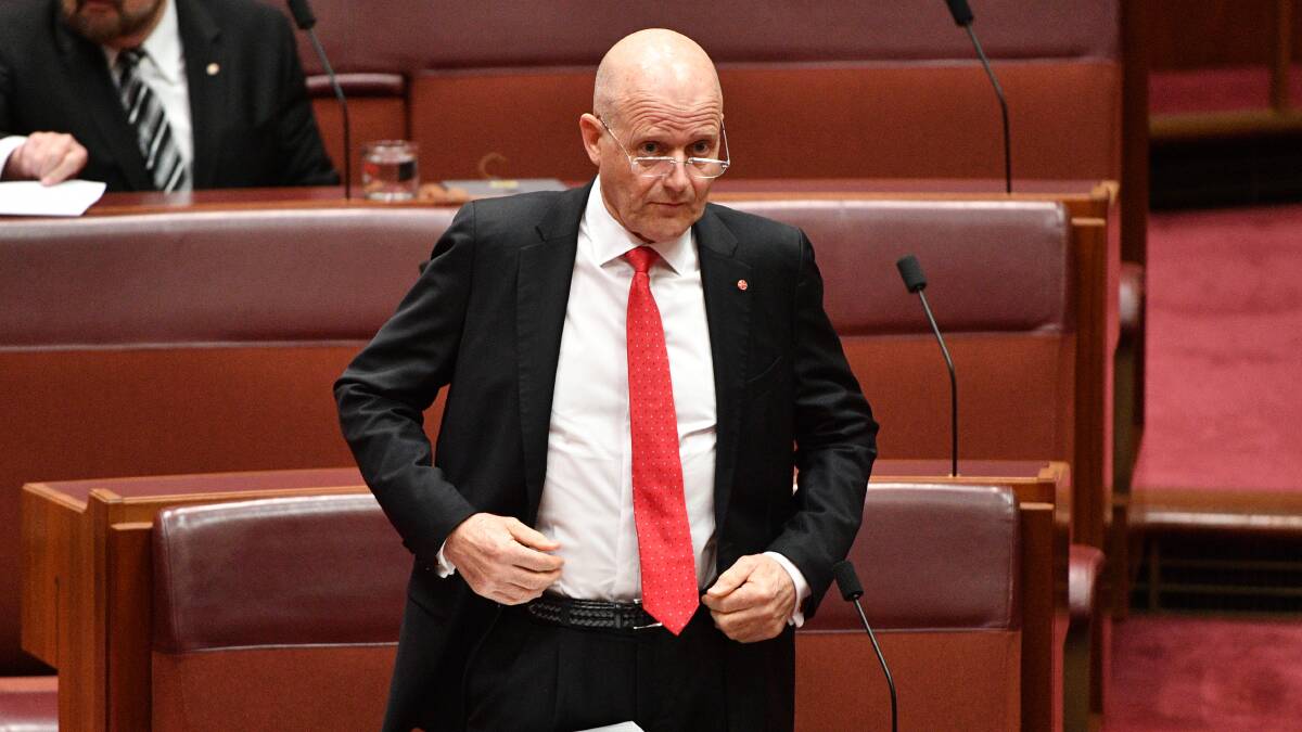 Senator David Leyonhjelm in the Upper House where he attacked Greens colleague Sarah Hanson-Young last week.