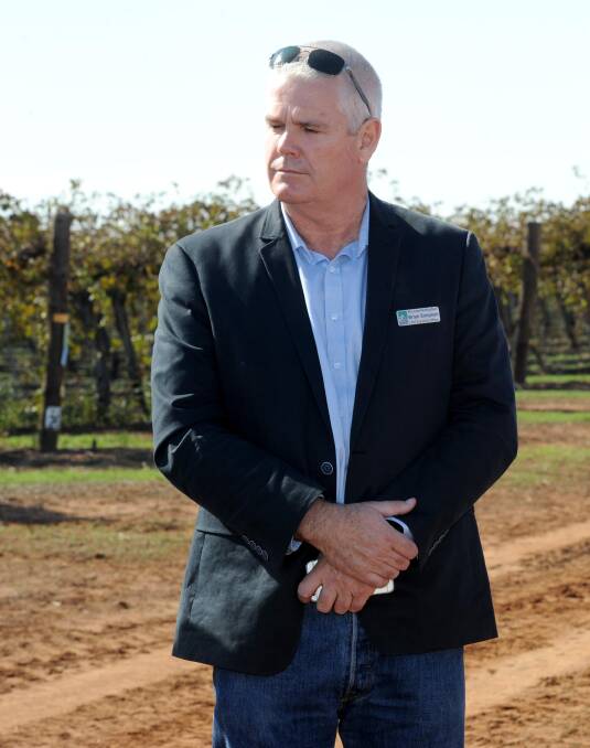POSITIVE: Riverina Wine Grapes Marketing Board CEO Brian Simpson was pleased about the recommendations set to change the wine industry. Picture: Anthony Stipo. 