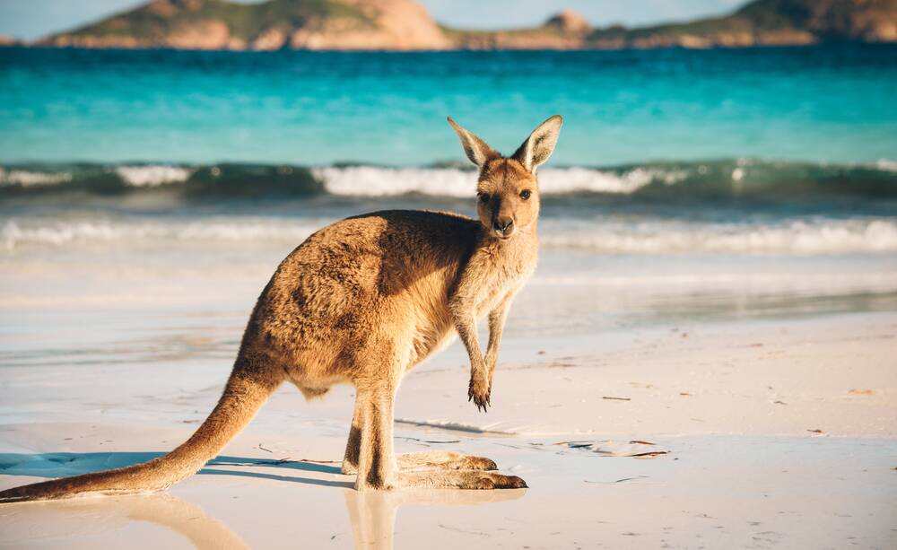 Tourism Australia is attempting to attract visitors to parts of the country that have not been impacted by bushfires. Pictures: Shutterstock