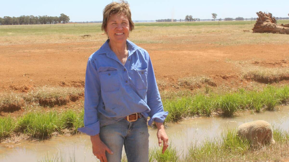 QUESTIONS: Helen Dalton wants answers on private dams. 