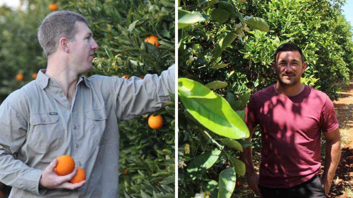 SPEAKING OUT: Leeton citrus grower Justin Davidson (left) and Griffith and District Citrus Growers president Vito Mancini say they will continue to fight the rating. Photo: Berri Australia, The Area News