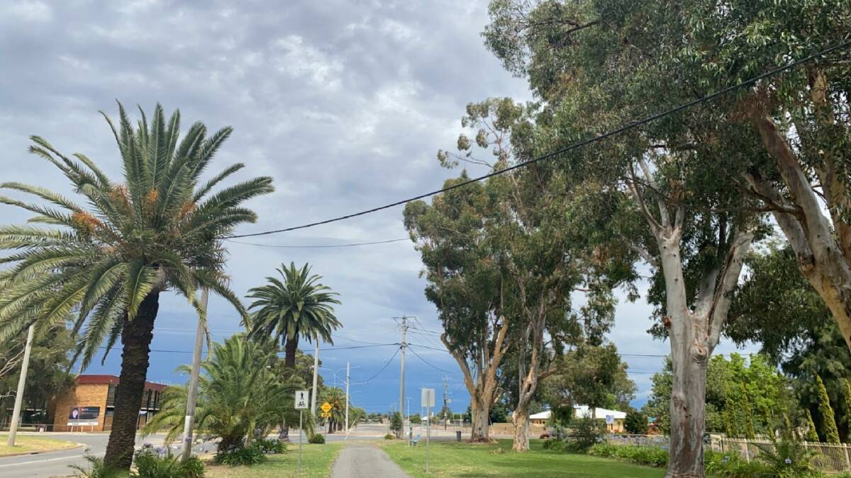 BREWING: Stormy skies to the west in Leeton. Photo: Talia Pattison