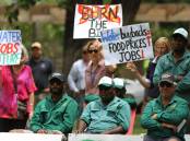 A protest against water buybacks was held in Leeton on November 21. Picture by Talia Pattison