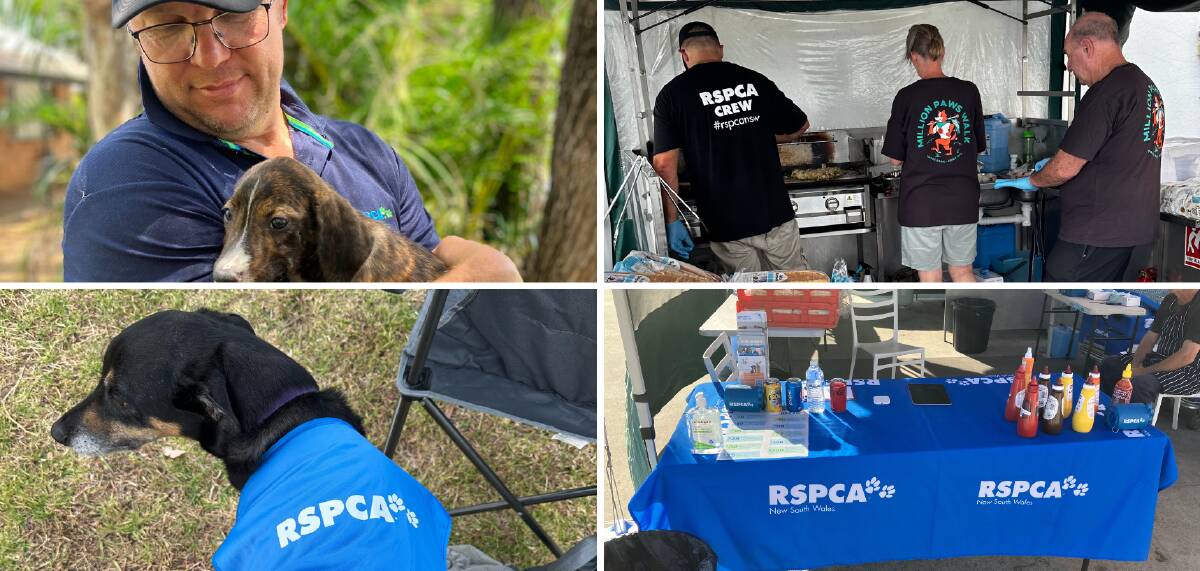 RSPCA NSW is searching for new volunteers for the Leeton shire area. Pictures supplied by RSPCA NSW