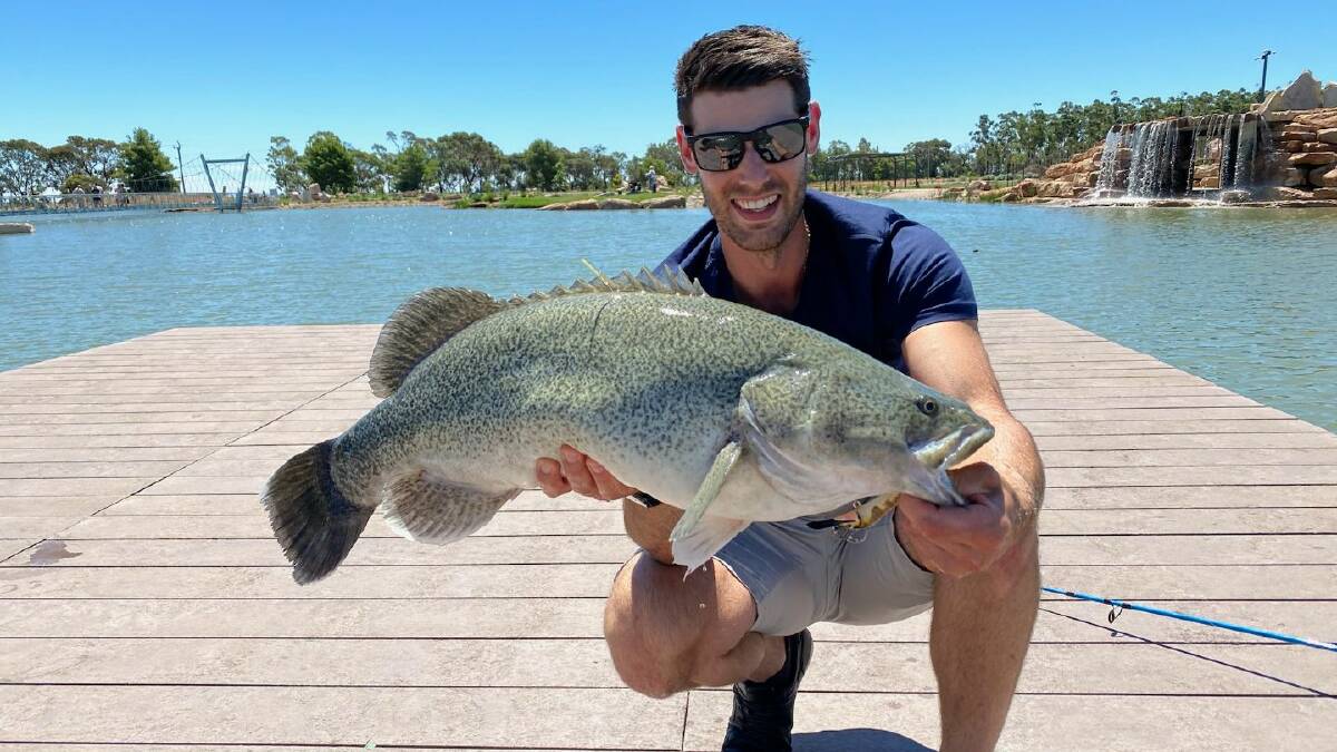 CATCH: Matthew Colla holds one of the Murray Cod with a tag on it prior to its release as part of the competition. Photo: Contributed 