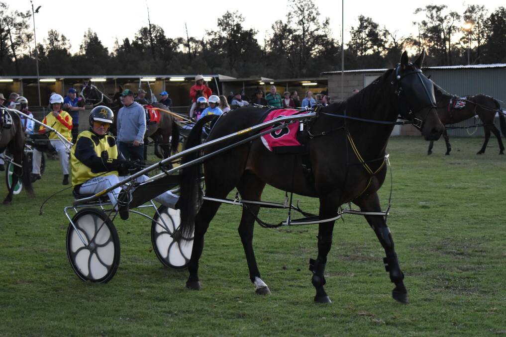 BEFORE THE RACE: Bruce Harpley and Rubies for Tash ready themselves for the Carnival of Cups. PHOTO: Shaun Paterson