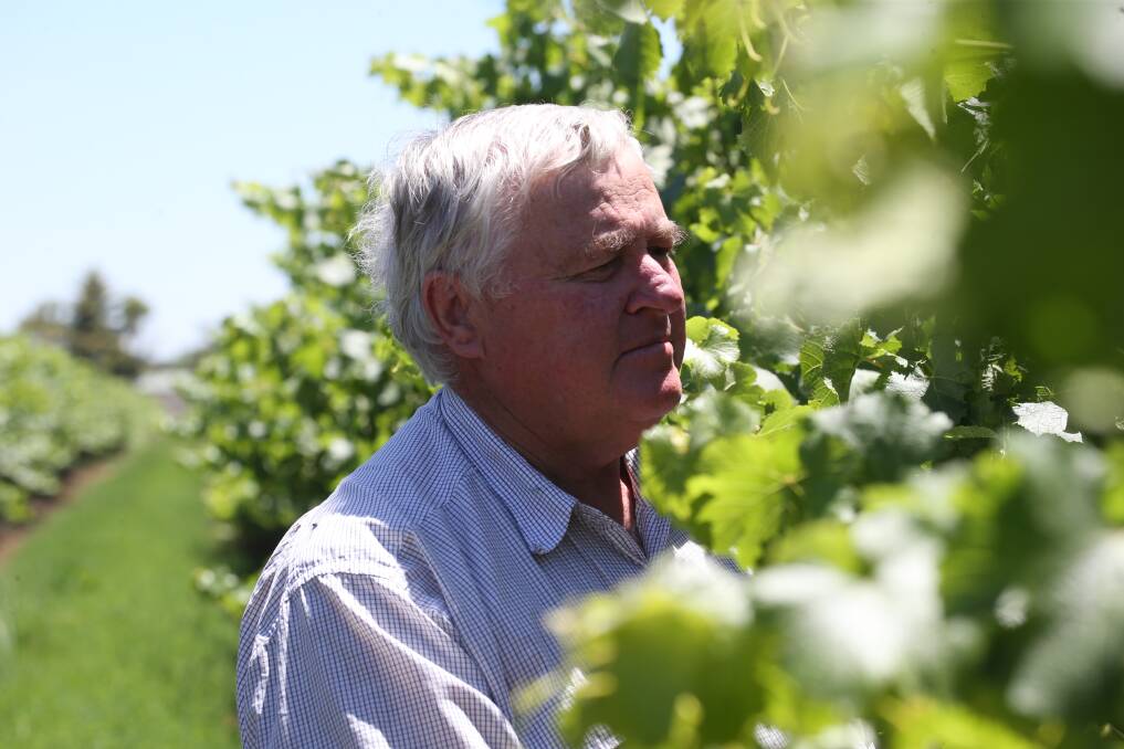 CHANGING INDUSTRY: Chairman of the Riverina Winegrape Growers, Bruno Brombal. PHOTO: Anthony Stipo