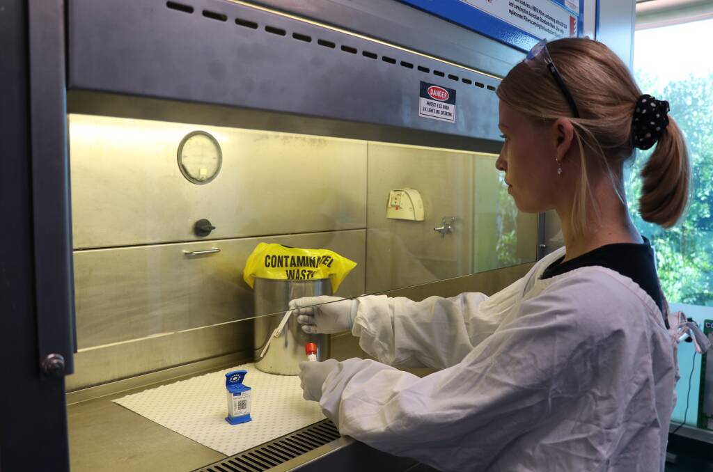 RAPID RESULTS: A NSW Health Pathology staff member working with sample being tested for coronavirus.Picture: Supplied
