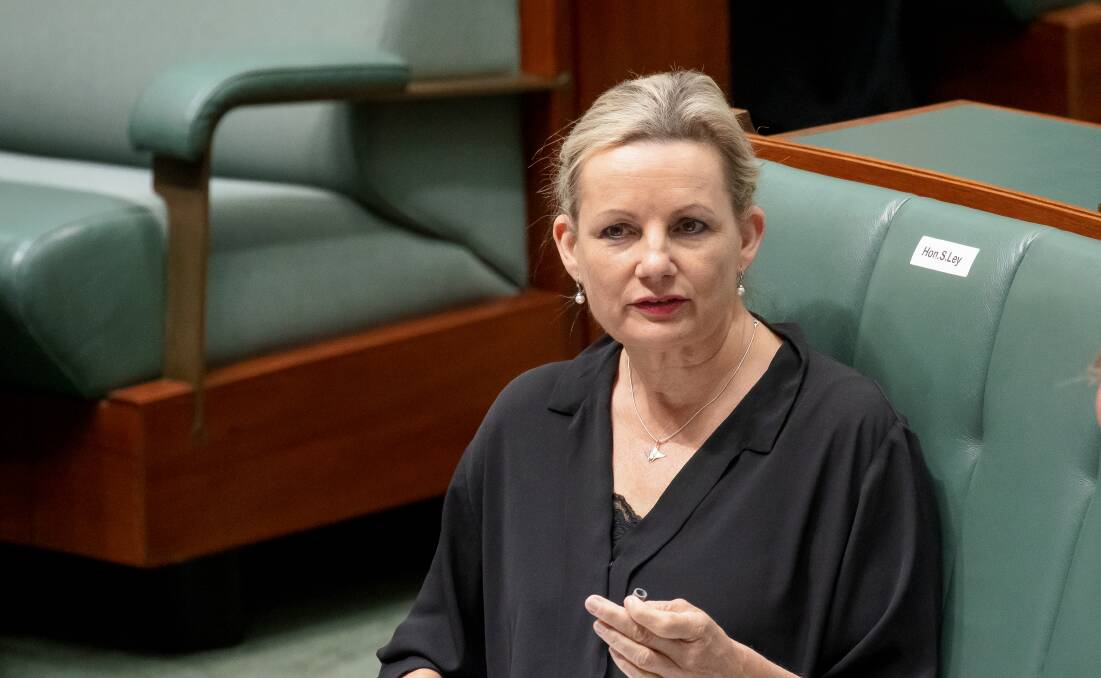 Environment Minister Sussan Ley. Picture: Sitthixay Ditthavong