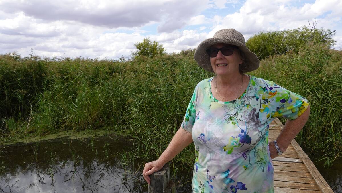 REVAMP: Virginia Tarr said improving Campbell's Wetland is 'great news' for local birdwatchers. Photo: Monty Jacka
