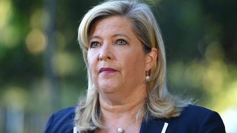 NSW Mental Health Minister Bronnie Taylor said the centres would be 'life-changing' for regional families. PHOTO: File