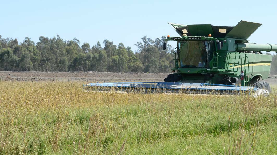 SunRice believes the free trade deal will provide a huge boost to ricegrowers across the Riverina.