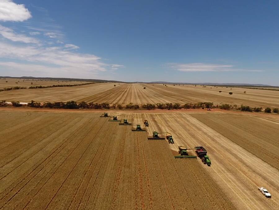 MAKING BREAD: Some parts of Jochim Jager's grain farm have produced nearly four times more than they did last year. PHOTO: Supplied.