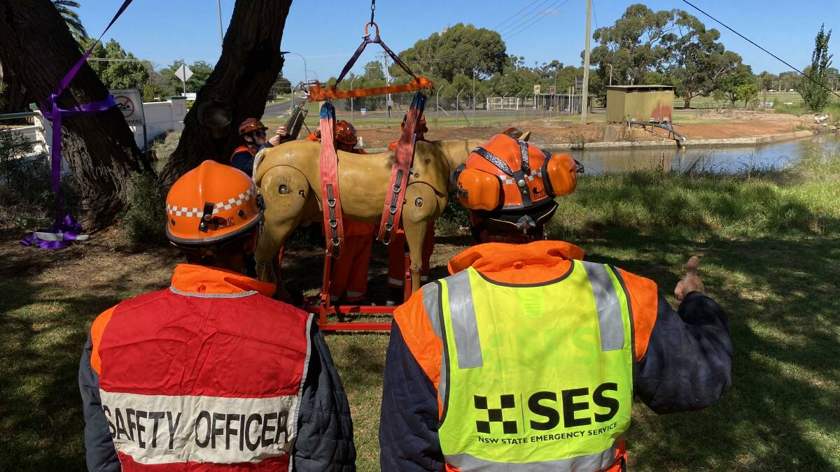 PRACTICE: State Emergency Service volunteers during the large animal rescue training, with a state of the art, $20,000 horse mannequin. Photo: Supplied.
