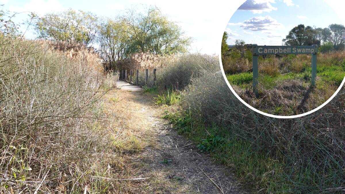 WEEDING: The tidying up of the Campbell's Wetland walkway is just the beginning of an ambitious plan to revitalise the area for tourists and birdwatchers. PHOTO: Monty Jacka