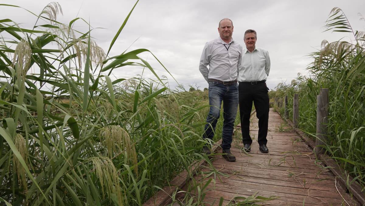 UPGRADES: Council's David Kellett and Phil Harding announced plans to 'revitalise' the wetland back in March. PHOTO: Monty Jacka