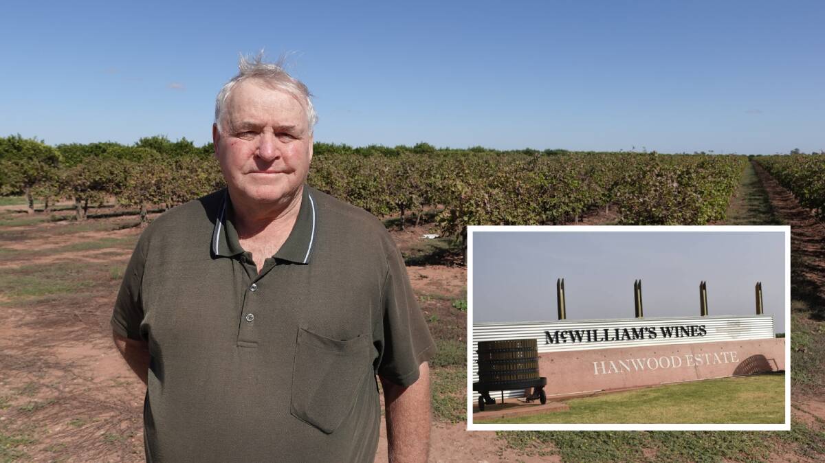 CONCERN: Riverina Winegrape Growers Association chairman Bruno Brombal says he is worried the region is losing competition. Photo: Monty Jacka.