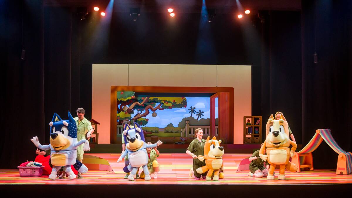 Bluey's Big Play has received rave reviews from parents and children alike. Photo: Darren Thomas. 