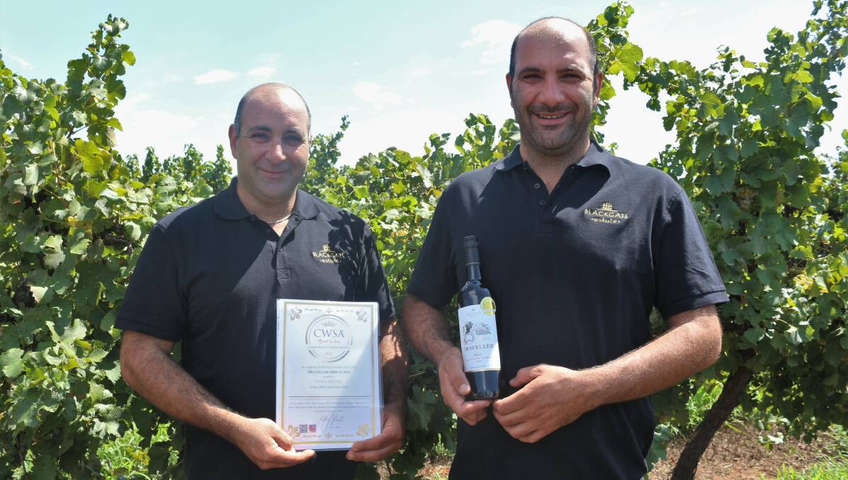 LOOKING UP: Blackgate Estate owners Zeyad and Danny Nehme are hoping their gold medal in the 2020 China Wine and Spirits Best Value awards is the first of many to come. PHOTO: Calhan Behrendt