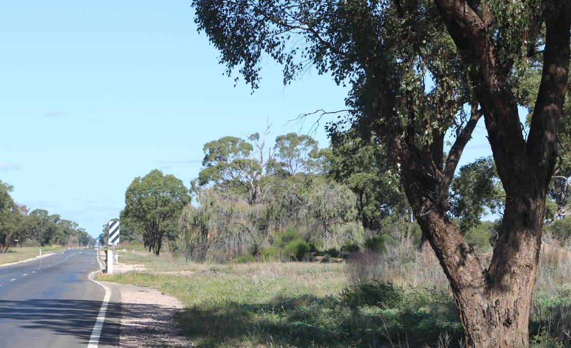NO CAMPING: Areas along Whitton Stock-Route Road where the Mirrool Creek meets the road near Yenda has been recognised as a travelling stock reserve area by the NSW Local Land Services office. PHOTO: Calhan Behrendt