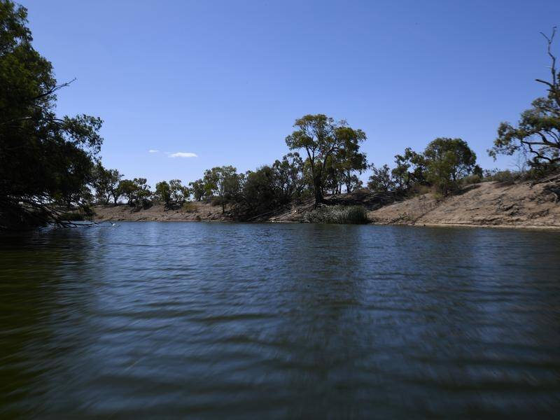 A record delivery of environmental water flows has helped the Murray Darling Basin thrive. (Dean Lewins/AAP PHOTOS)