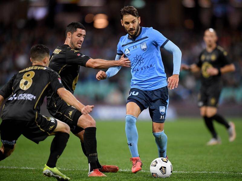 Sydney's Milos Ninkovic is fighting to be fit for the A-League grand final against Melbourne City.