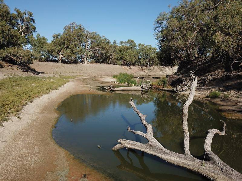 Water ministers have discussed recommendations to improve the Murray Darling Basin Plan.