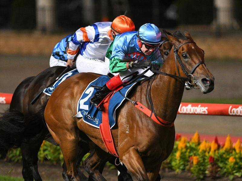 Scales Of Justice has won the G2 Australia Stakes at The Valley marred by the fatal fall of Manuel.