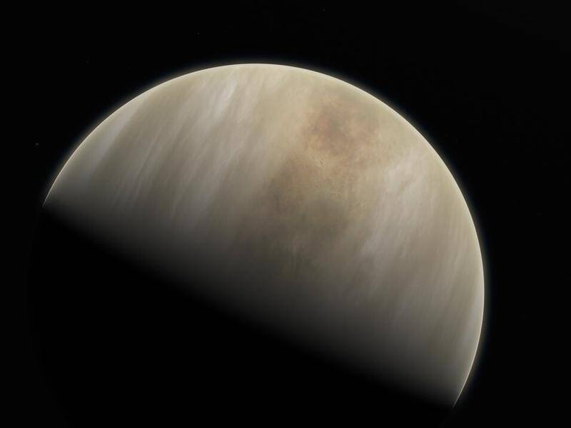 NASA may send a probe to Venus where a tantalising sign of life has been detected in the atmosphere.