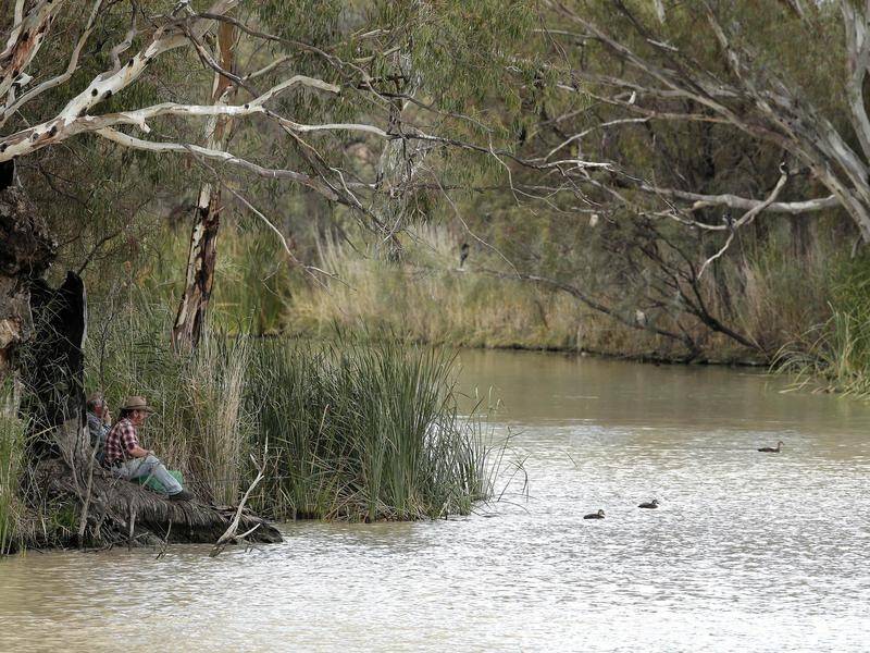 A motion in the Senate is set to sink government changes to the Murray-Darling Basin Plan (file).