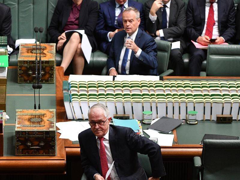 A senior Labor MP says Super Saturday won't put pressure on Bill Shorten's leadership.