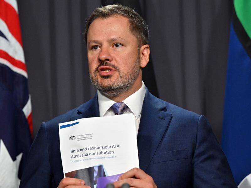 Industry Minister Ed Husic says it's critical to put AI safeguards in place. (Mick Tsikas/AAP PHOTOS)