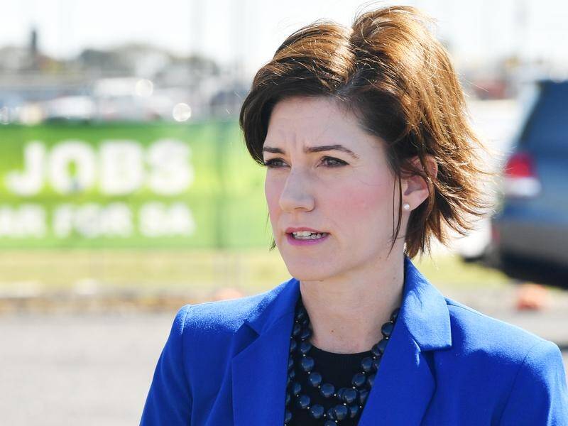 Federal MP Nicolle Flint says is quitting politics at the next election.