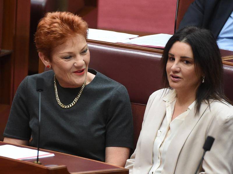 Pauline Hanson and Jacqui Lambie want more details on the government's union busting legislation.