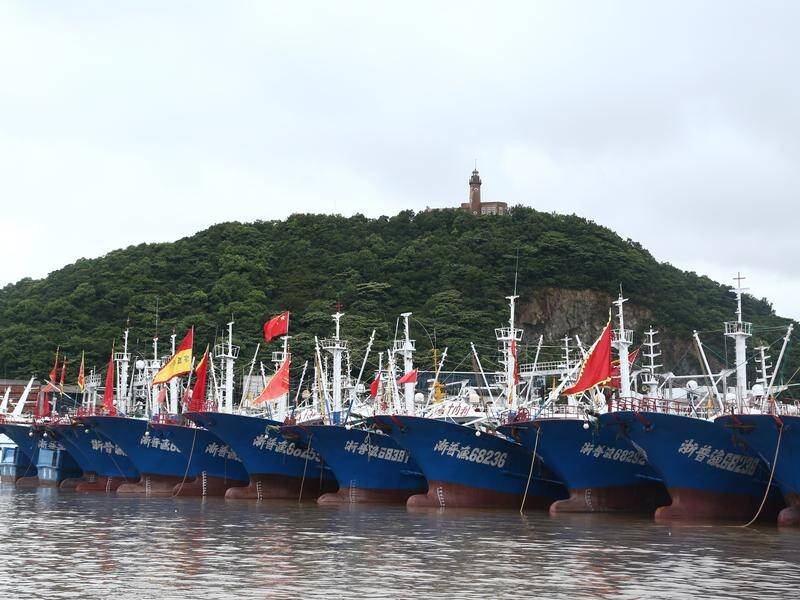 Fishing boats are docked at a harbour in preparation for Typhoon Rumbia in east China.