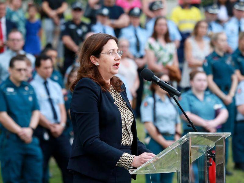 Annastacia Palaszczuk says all ideas will be considered at a domestic violence summit next month.