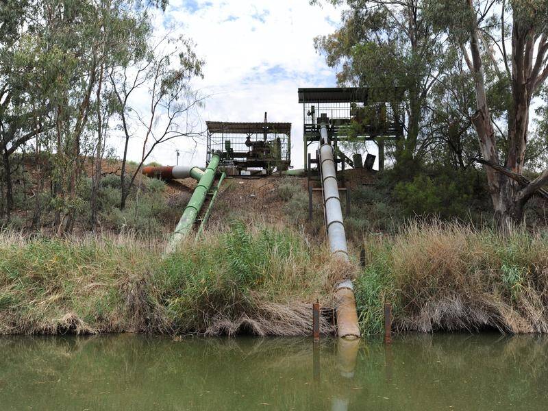 Big agribusiness is benefiting more from the Murray-Darling Basin Plan than others, a report says.
