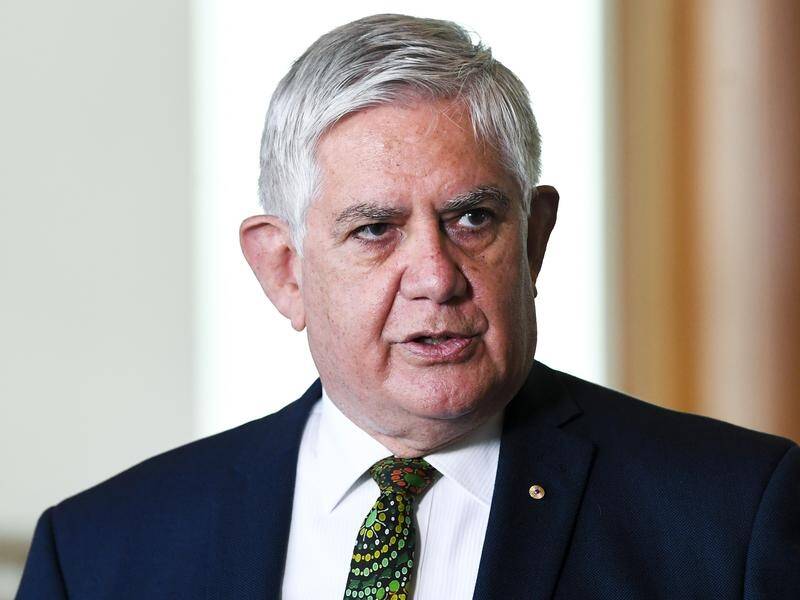 Minister Ken Wyatt says the inquiry will enable an authentic Indigenous arts and crafts market.