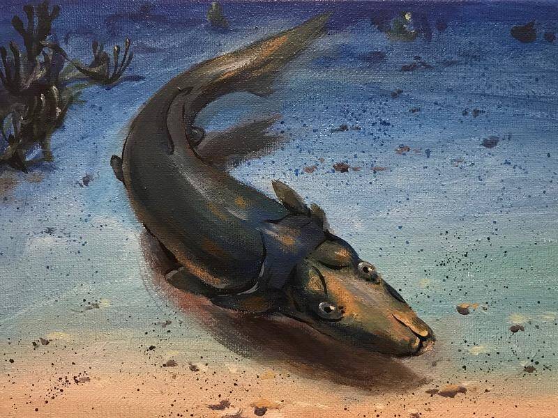 Palaeontologists have pieced together a revealing picture of a strange platypus-like fish.