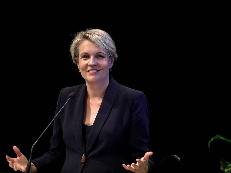 Labor frontbencher Tanya Plibersek says patriotism is about solidarity not exclusion.