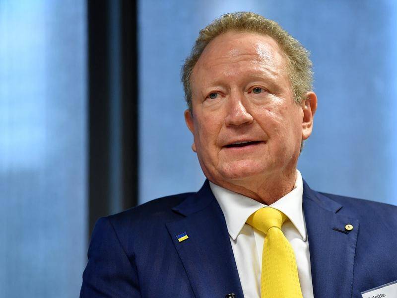 Andrew Forrest says Australia is at risk of 'missing the bus' on developing renewable hydrogen. (Bianca De Marchi/AAP PHOTOS)